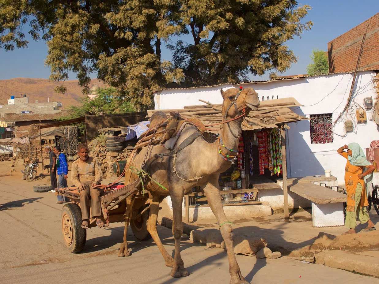 Fascinating Village Tour