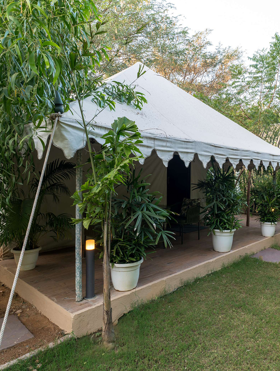 Luxury Tent | Tiger Woods Ranthambhore