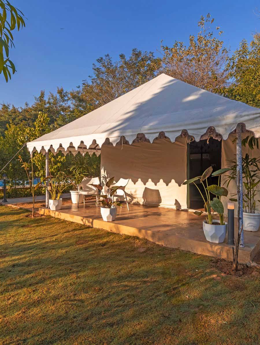 Luxury Tent | Tiger Woods Ranthambhore