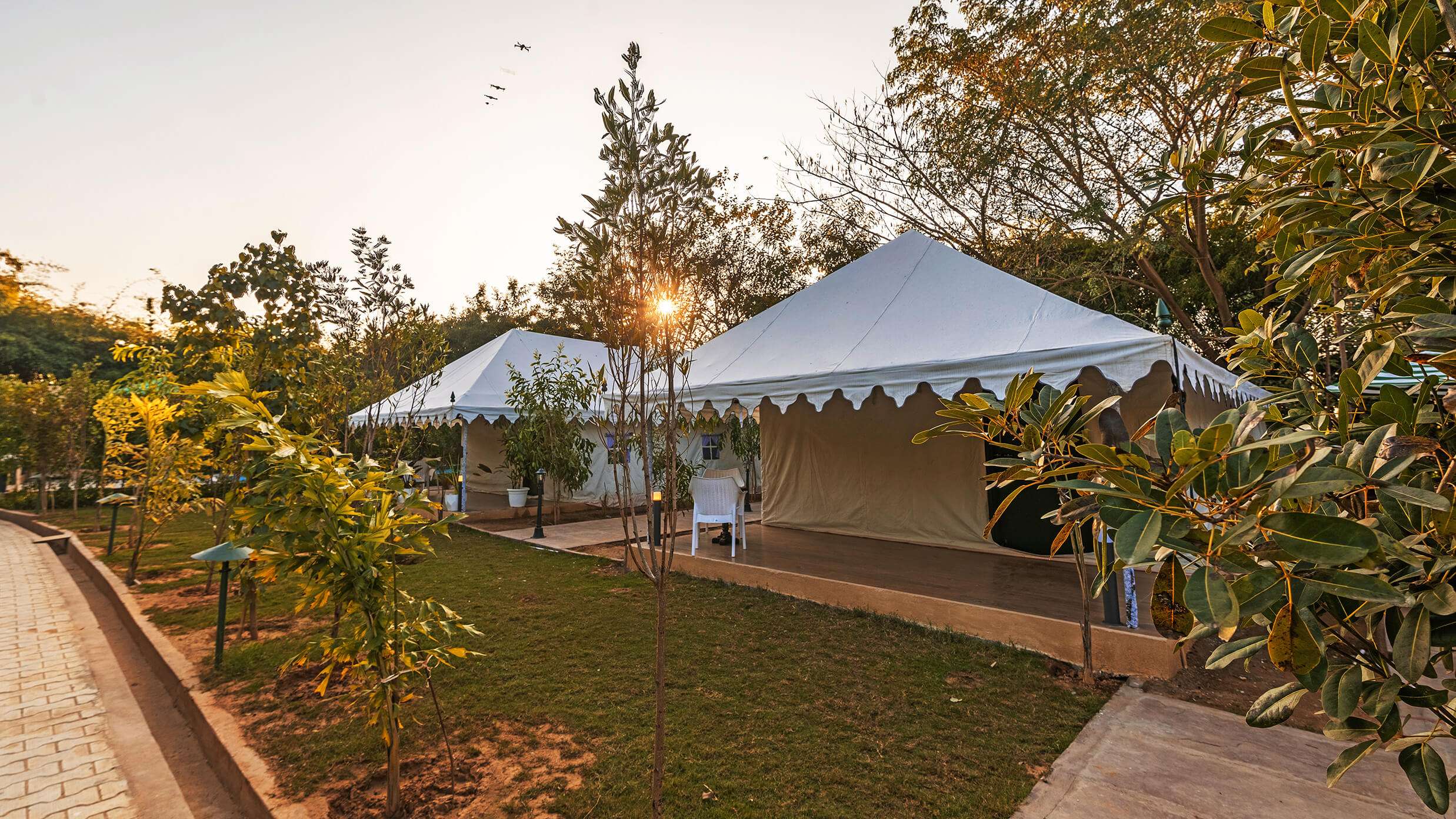 Luxury Tent | Tiger Woods Ranthambhore